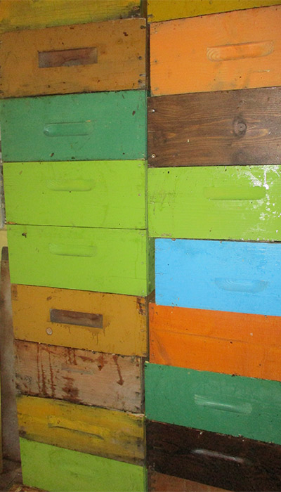 Cosa Sono queste - © 2017 I Mieli del Ticino Arnie-miele-apicoltura_I_Mieli_del_Ticino