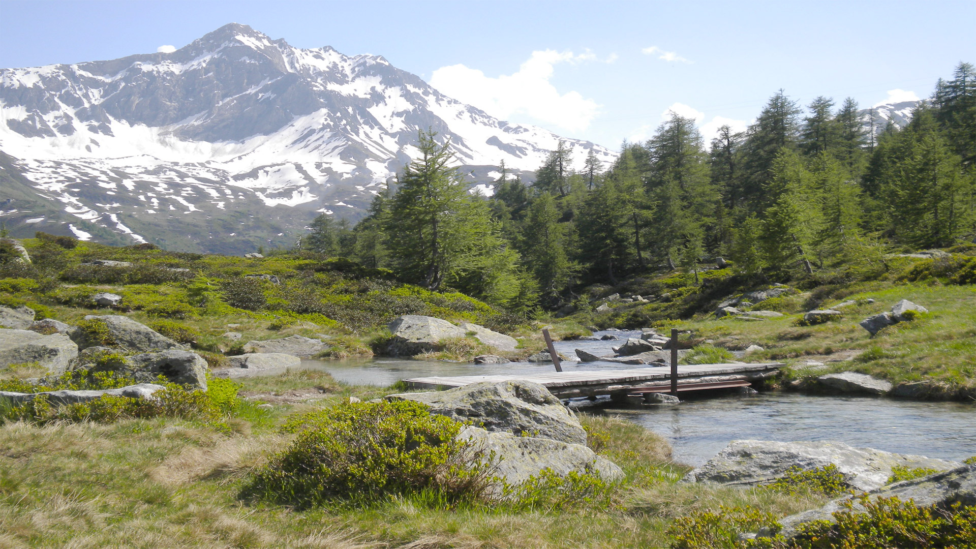 I mieli del Ticino Produzione miele artigianale alta valle Leventina